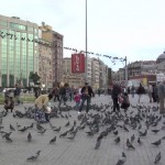 783489926-place-taksim-pigeon-donner-a-manger-aux-animaux-vie-citadine